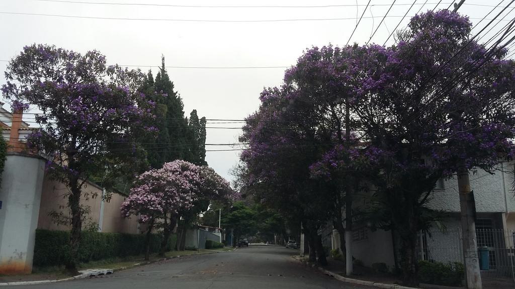 Now Alto Da Boa Vista Lägenhet São Paulo Rum bild